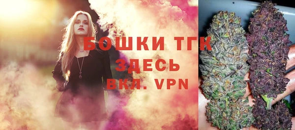 СК Верхний Тагил